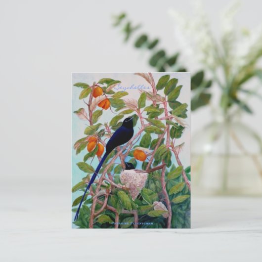 Seychelles Paradise Flycatcher Postkarte (Stehend Vorderseite)