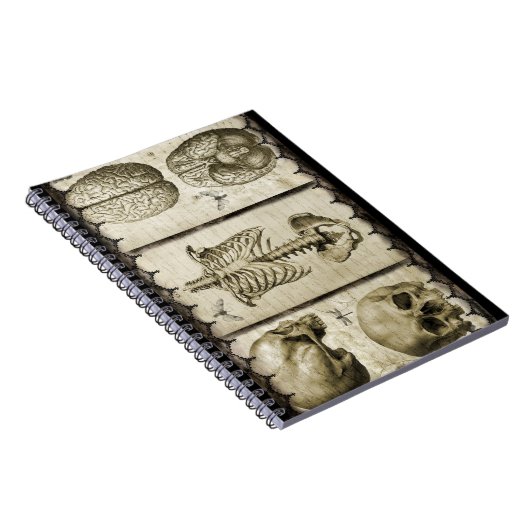 Sezieren Sie Notizblock (Rechte Seite)