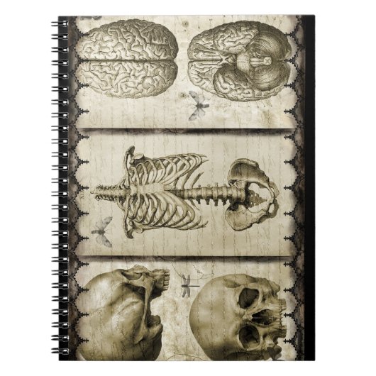 Sezieren Sie Notizblock (Vorderseite)