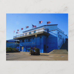 SF Aquarium of the Bay #4-2 Postcard Postkarte
