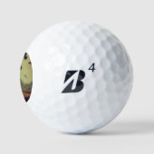 SF Dänische Meister (3) Golfball (Logo)