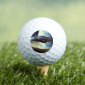 SF Orbit Spaceship (2) Golfball (Insitu T-Shirt)