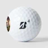 SF Stadtwaldplanet (1) Golfball (Logo)