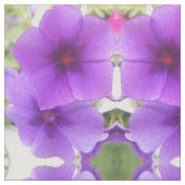 Sforza Stoff (Nahaufnahme)