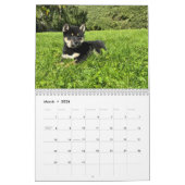 SFShiba 2026 Calendar Kalender (Mär 2026)