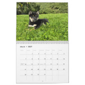 SFShiba 2026 Kalender (Mär 2027)