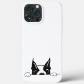 SG - 226 - iPhone 13 Pro Max Case (Rückseite)