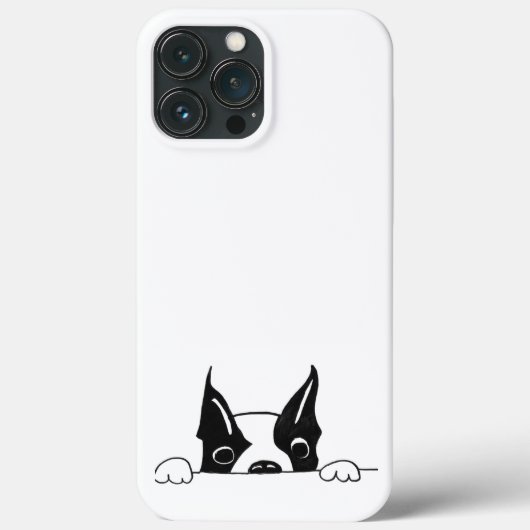 SG - 226 - iPhone 13 Pro Max Case (Rückseite)