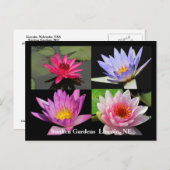 SG Wasserlilie Collage Postcard #1N 1100 Postkarte (Vorne/Hinten)