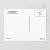 SG Yellow Frack Postcard #81N 081 Postkarte (Rückseite)