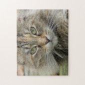 Sgolis Foto Feral Cat Portrait Schwierigkeit Puzzle (Vertikal)