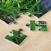 Sgolis Gray Maine Coon Cat Challenging Foto Puzzle (Seite)