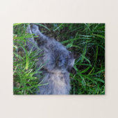 Sgolis Gray Maine Coon Cat Challenging Foto Puzzle (Horizontal)