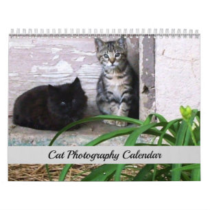 Sgolis Original Katzenfotografie-Kalender Kalender