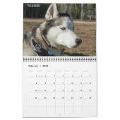 SHAAZ 2012 Kalender (Feb 2026)