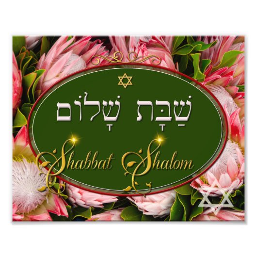 Shabbat Shalom Protea Fotodruck (Vorne)