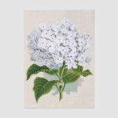 Shabby Chic Fresh White Blume mit rosa Herzen Seidenpapier (Vorderseite)