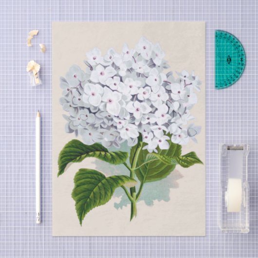 Shabby Chic Fresh White Blume mit rosa Herzen Seidenpapier (Handwerk)