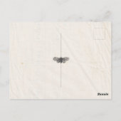 Shabby Chic Hochzeit Pressed Blume Save the Date Postkarte (Rückseite)