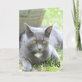 Shabby Chic-Karte Dankeskarte