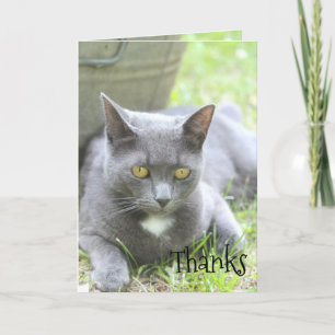 Shabby Chic-Karte Dankeskarte