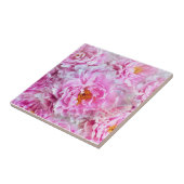 Shabby Chic Rosa Pastellfarben Rosa Erdnüsse Fliese (Seite)