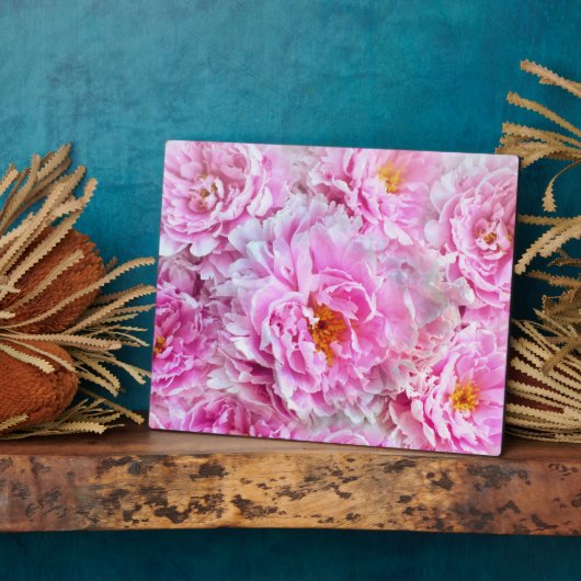 Shabby Chic Rosa Pastellfarben Rosa Erdnüsse Fotoplatte (Seite)