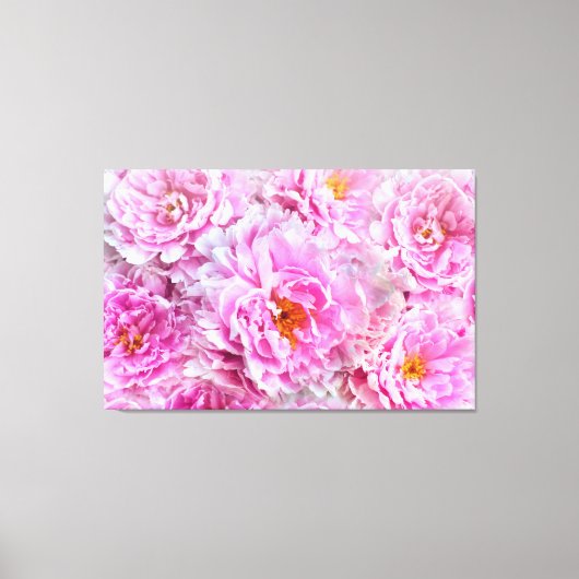 Shabby Chic Rosa Pastellfarben Rosa Erdnüsse Leinwanddruck (Vorderseite)