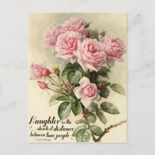 Shabby Chic Rosa Viktorianische Rose Postkarte