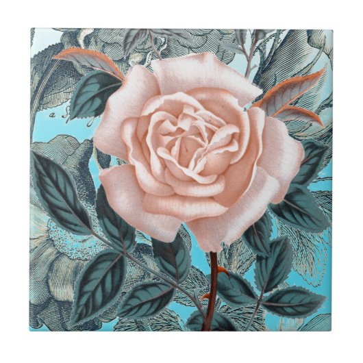 Shabby Chic Rose Fliese (Vorderseite)