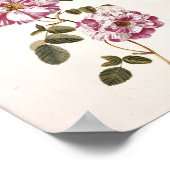 Shabby Chic-Rose Poster (Ecke)