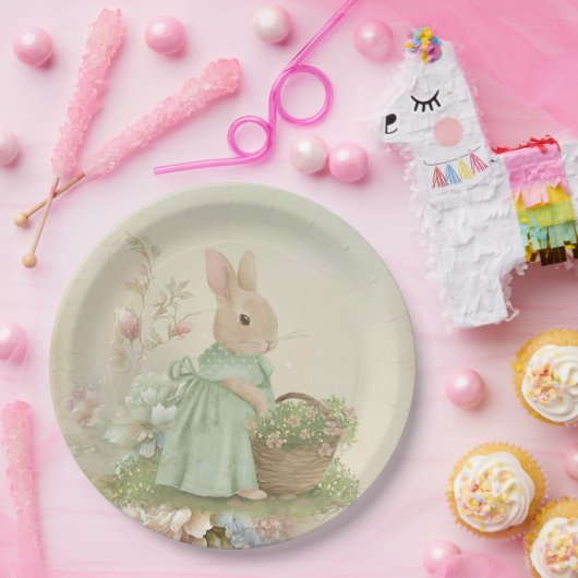 Shabby Chic Spring Rabbit Pappteller (Party)