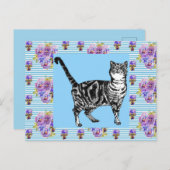 Shabby Chic Tabby Cat Pastel Pinacoteca comunale C Postkarte (Vorne/Hinten)
