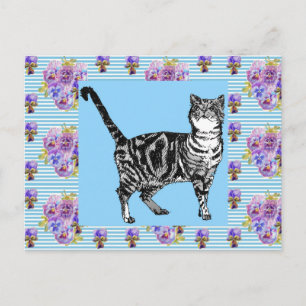 Shabby Chic Tabby Katze Pastell Streifen Kunst Pos Postkarte