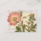 Shabby Elegance Vintag Chic Pink Dog Rose Visitenkarte (Rückseite)
