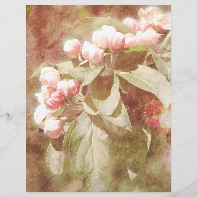 Shabby Pink Apple Blossom Scrapbook Paper (Vorderseite)