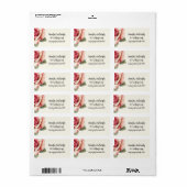 Shabby Pink Rose Adressaufkleber (Vorne)