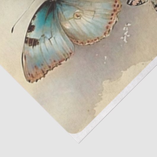 Shabby Spring Seidenpapier (Ausschnitt)