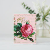 SHABBYCHIC English Rose Vintag rosa Postkarte (Stehend Vorderseite)