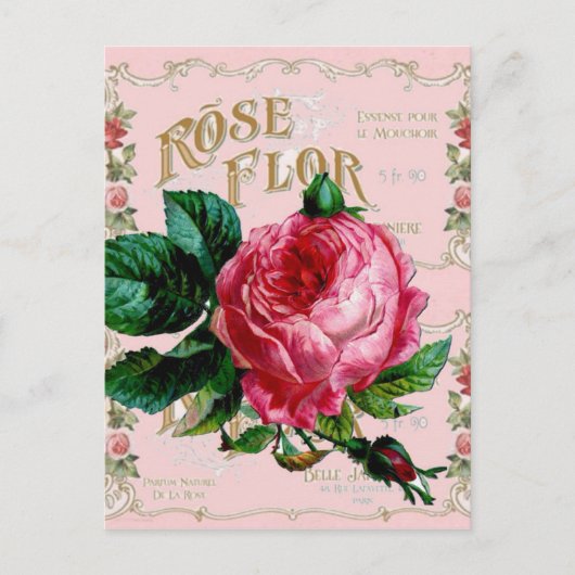 SHABBYCHIC English Rose Vintag rosa Postkarte (Vorderseite)