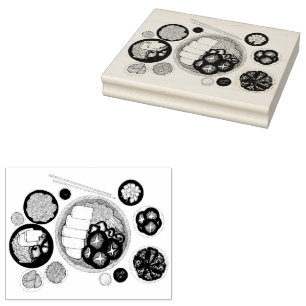 Shabu-Shabu Japan Japanische Küche Hotspot Gummistempel