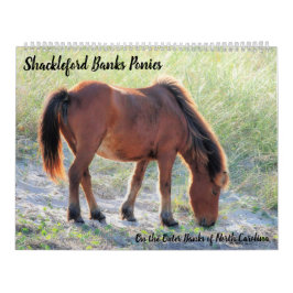 Shackleford Banks Ponys Kalender