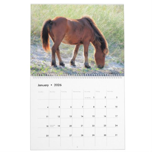 Shackleford Banks Ponys Kalender (Jan 2026)