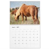 Shackleford Banks Ponys Kalender (Mär 2027)