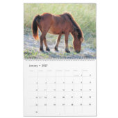 Shackleford Banks Ponys Kalender (Jan 2027)