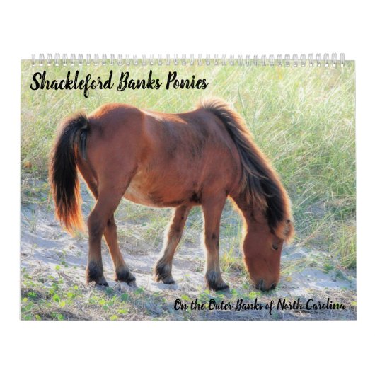 Shackleford Banks Ponys Kalender (Titelbild)