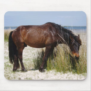 Shackleford Banks World Horse Grazing Mousepad
