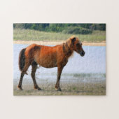 Shackleford hat Pferd ein Bankkonto Puzzle (Horizontal)