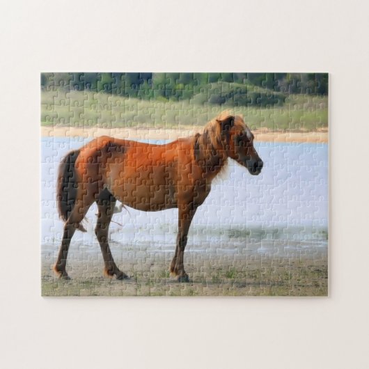 Shackleford hat Pferd ein Bankkonto Puzzle (Horizontal)