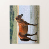 Shackleford hat Pferd ein Bankkonto Puzzle (Vertikal)